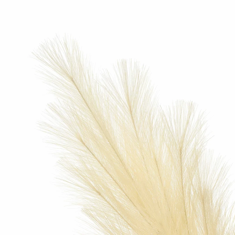 5ft. Cream Pampas Grass Stem by Ashland®