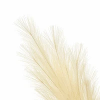 5ft. Cream Pampas Grass Stem by Ashland®