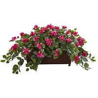 18" Bougainvillea in Decorative Planter