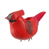 Red Feather Cardinals, 6ct. by Ashland®