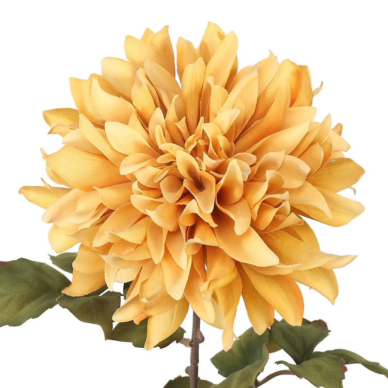 28.5" Dahlia Stem by Ashland