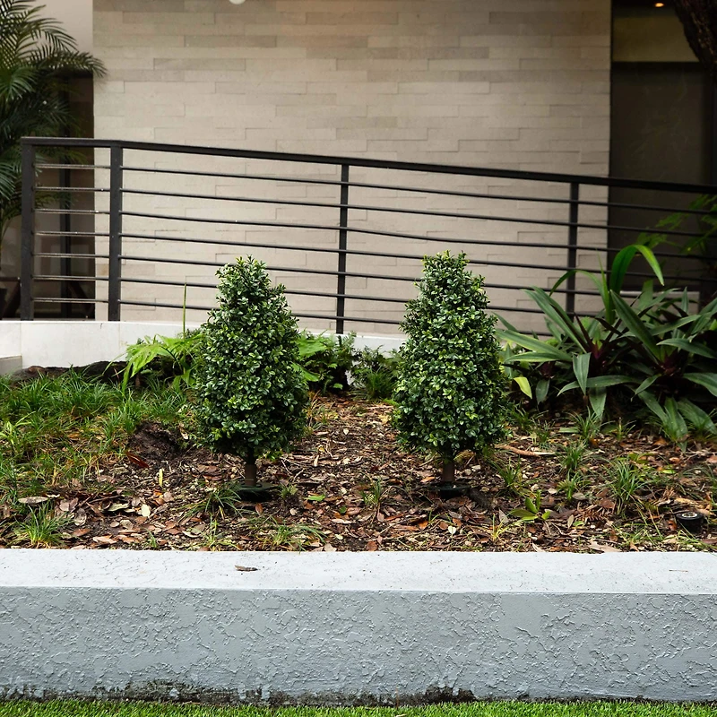2.5ft. UV Resistant Boxwood Plant Set with Integrated Ground Stake
