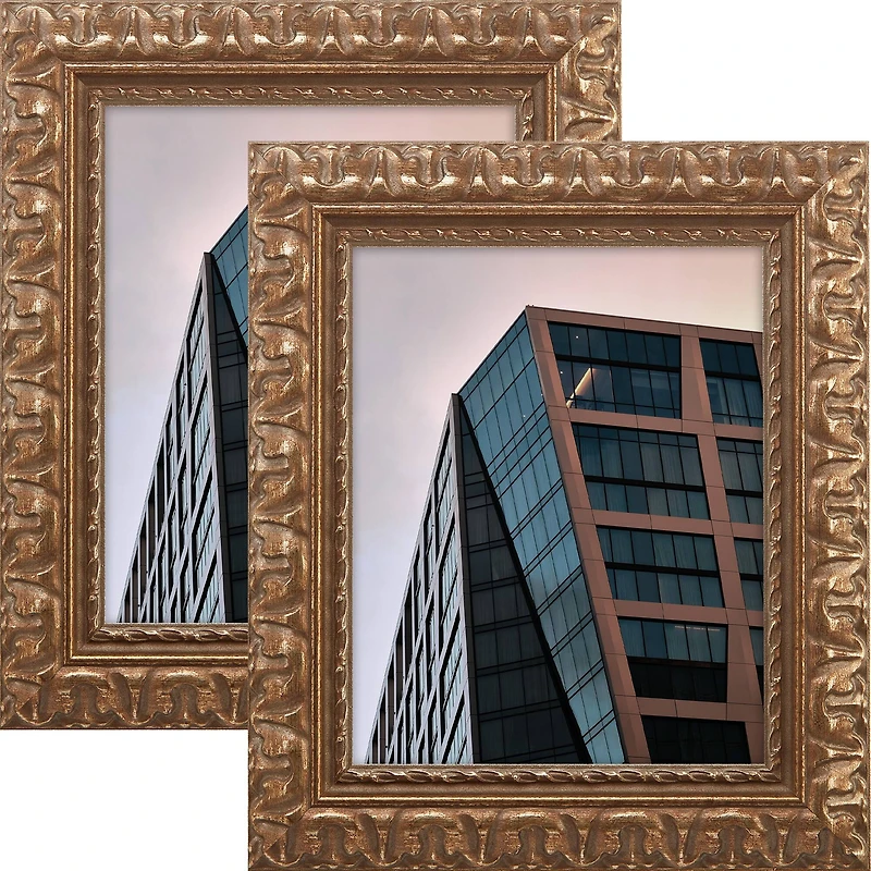 Pack Craig Frames Bravada Ornate Bronze Picture Frame