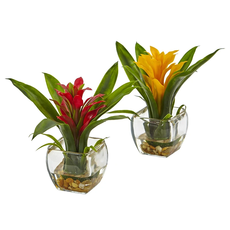 8" Bromeliad Arrangement with Glass Vase Set
