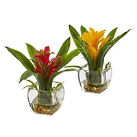 8" Bromeliad Arrangement with Glass Vase Set