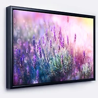 Designart - Growing and Blooming Lavender