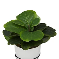 19" Potted Contemporary Gourd Artificial Foliage