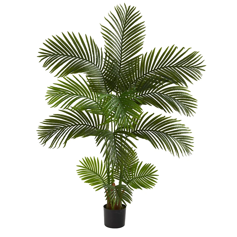 5ft. Potted Areca Palm Tree