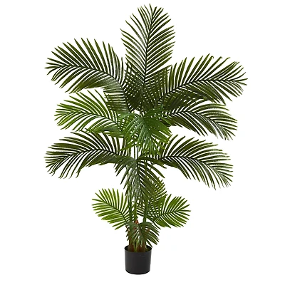 5ft. Potted Areca Palm Tree