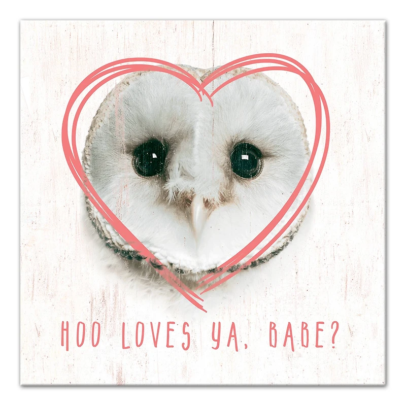 Owl Love Canvas Art