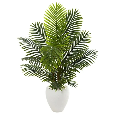 4.5ft. Paradise Palm Tree with White Ceramic Planter