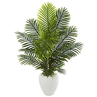 4.5ft. Paradise Palm Tree with White Ceramic Planter