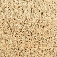 DII® Owl Be Home For Christmas Doormat