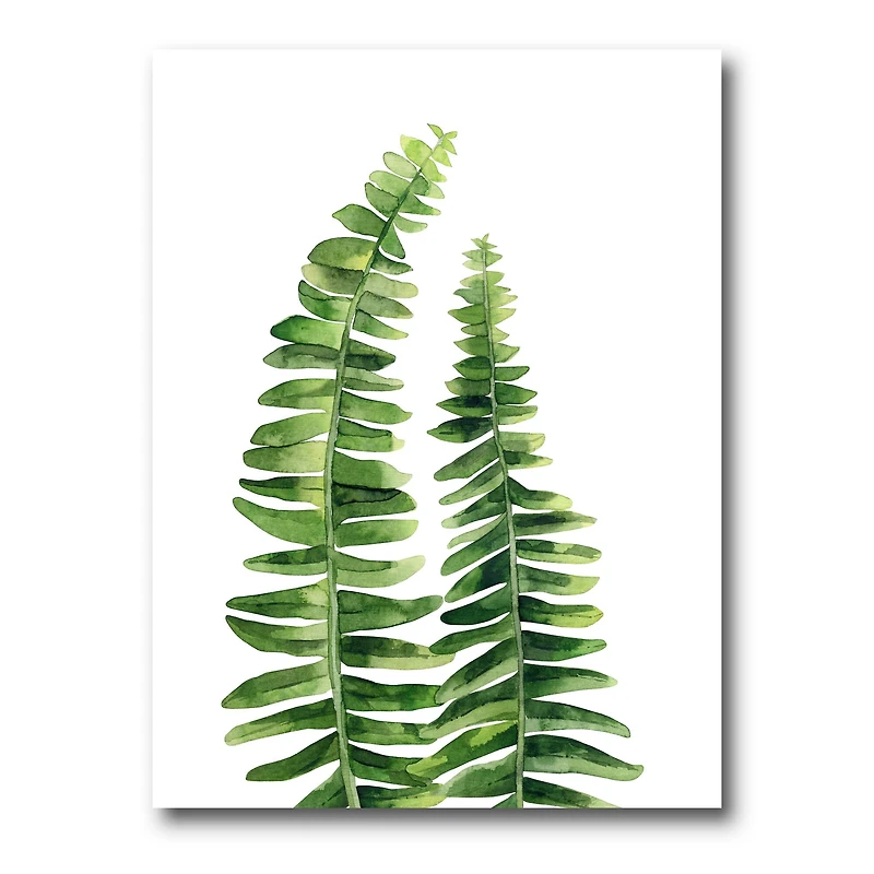 Designart - Fern Leaves Detail IV