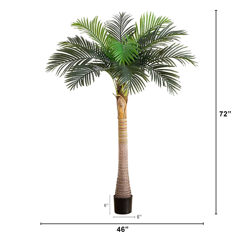 6ft. Potted Coconut Palm Tree