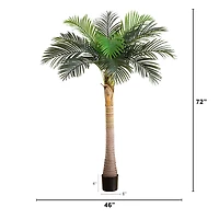 6ft. Potted Coconut Palm Tree