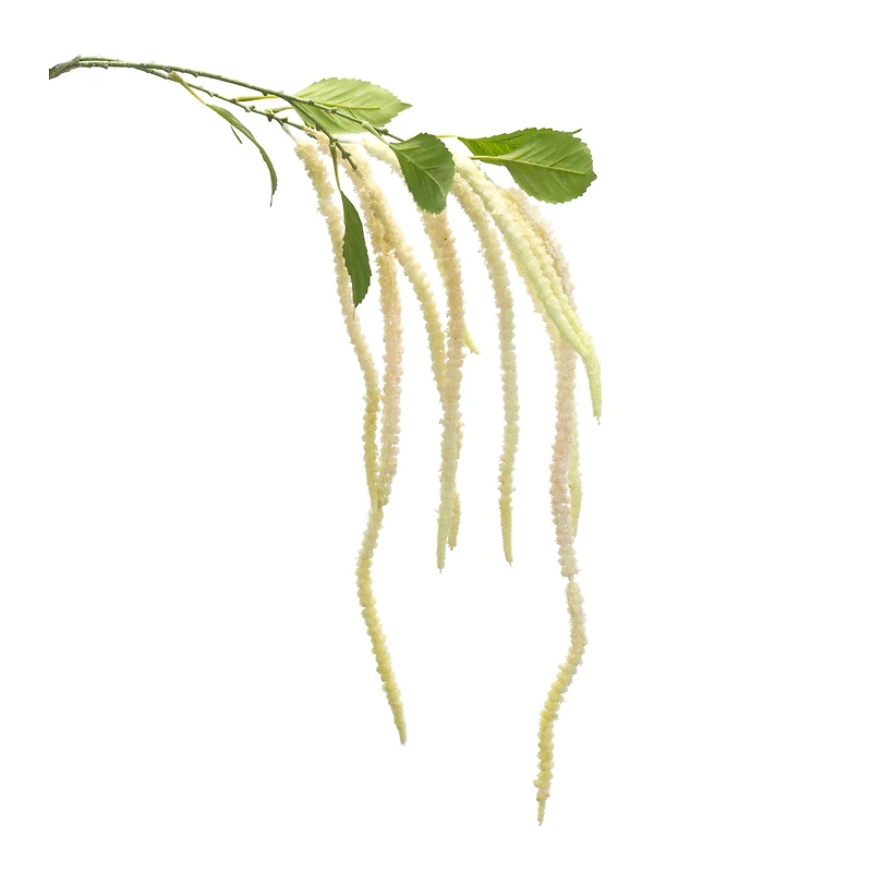 53.25" Beige Amaranthus Floral Stems, 4ct.