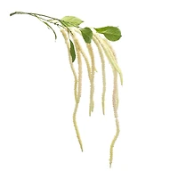 53.25" Beige Amaranthus Floral Stems, 4ct.