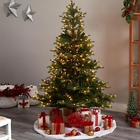 6ft. Pre-Lit North Carolina Spruce Artificial Christmas Tree, Clear Lights