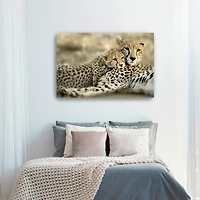 Kenya Club Canvas Giclee