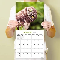 TF Publishing 2024 Owls Wall Calendar