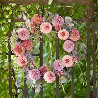 24" Mixed Zinnia Floral Wreath