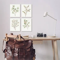 Stupell Industries Soft Farmhouse Botanicals Charming Wild Foliage Plant Illustration Wall Plaque