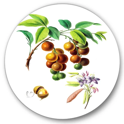 Designart - Vintage Fruits III