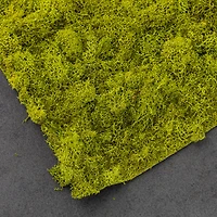SuperMoss® Instant Green® Sticky All-Purpose Moss Mat