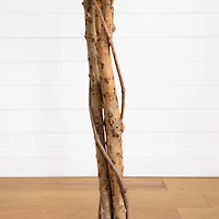 9ft. Potted Ficus Tree