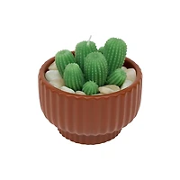 16oz. Brown Potted Succulent Candle by Ashland®