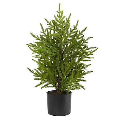 2ft. Unlit Norfolk Island Pine Artificial Potted Christmas Tree