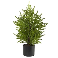 2ft. Unlit Norfolk Island Pine Artificial Potted Christmas Tree