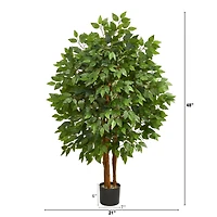 4ft. Potted Super Deluxe Ficus Tree