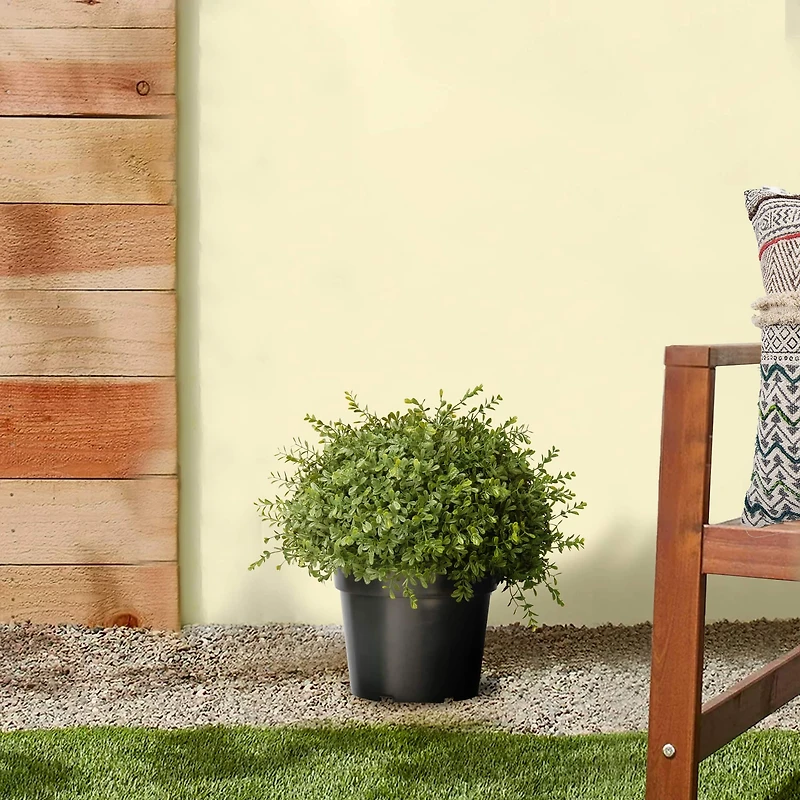 15" Mini Tea Leaf 1-Ball w/ Growers Pot