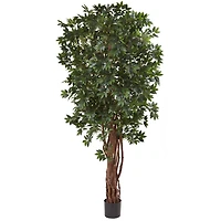 7.5ft. Potted Lychee Silk Tree