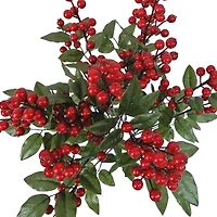 25" Red Berry Deluxe Bush by Ashland®