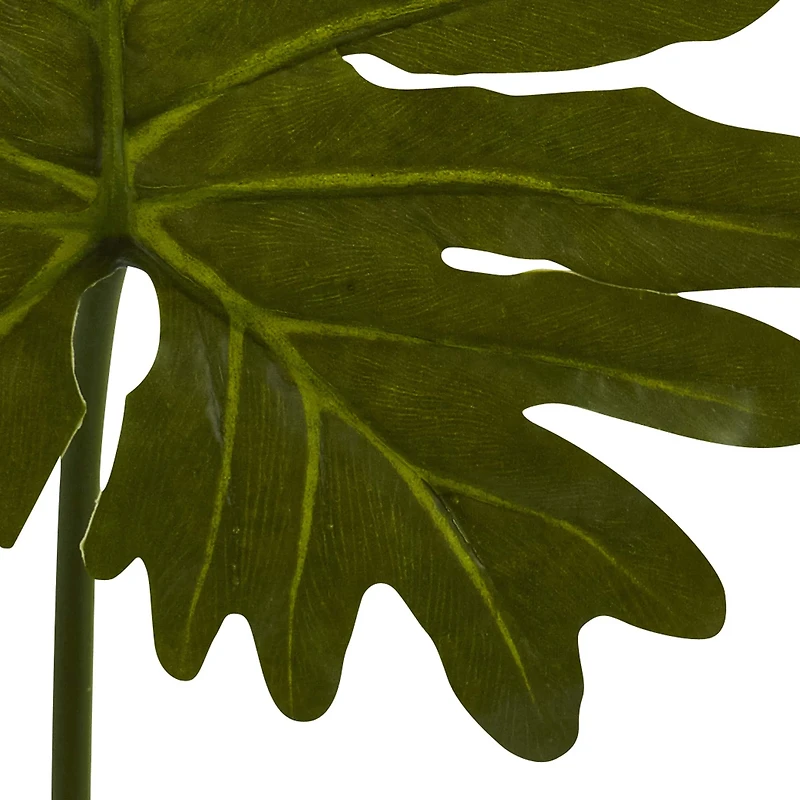 Selloum Philo Single Leaf Stem, 12ct.