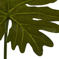 Selloum Philo Single Leaf Stem, 12ct.