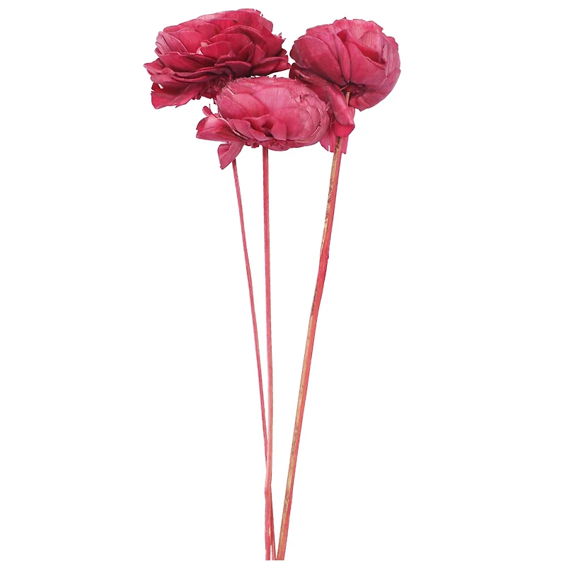 20" Pink Cabbage Rose Sola Flowers, 3ct. by Ashland®