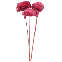 20" Pink Cabbage Rose Sola Flowers, 3ct. by Ashland®