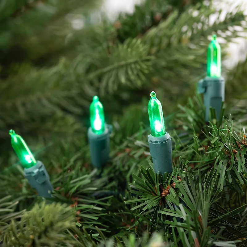 50ct. LED Mini Christmas String Lights with Green Wire