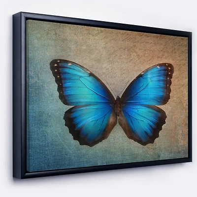 Designart - Blue Vintage Butterfly