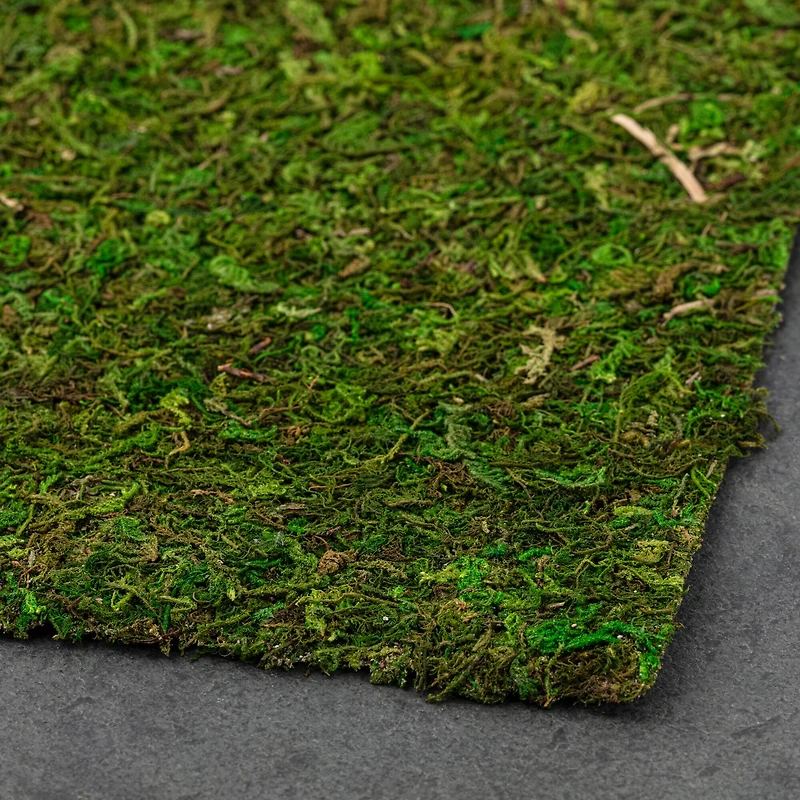 Moss Mat by Ashland®
