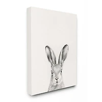 Stupell Industries Bunny Rabbit Portrait Grey Drawing Design Canvas Wall Art