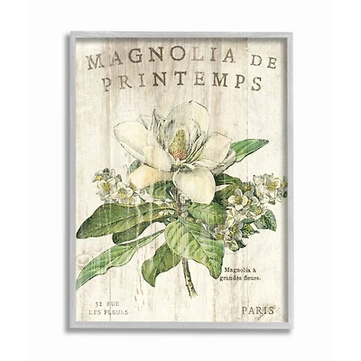 Stupell Industries French Magnolias Wall Art in Gray Frame