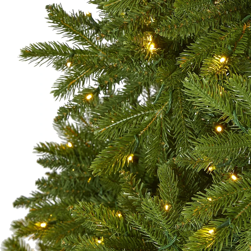 9ft. Pre-Lit Sierra Spruce Artificial Christmas Tree, Clear LED Lights