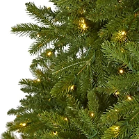 9ft. Pre-Lit Sierra Spruce Artificial Christmas Tree, Clear LED Lights