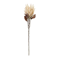 29.25" Red Protea Flower Stems