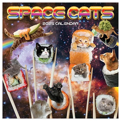 TF Publishing 2025 Space Cats Mini Calendar